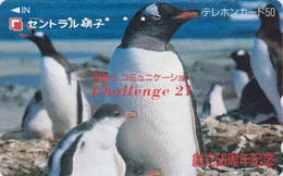 TC JAPON / 110-011 - ANIMAL - OISEAU - MANCHOT PAPOU / Colonie - GENTOO PENGUIN BIRD - JAPAN Phonecard - 5401 - Pinguine