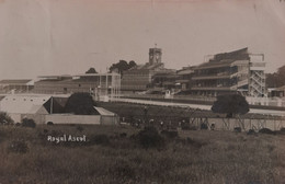 Royal Ascot (Horse Racing) RPPC - Carte Photo 19?? - Sonstige & Ohne Zuordnung