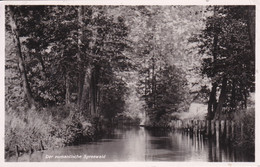 Allemagne Brandebourg  Luebbenau Der Romantische Spreewald - Luebbenau