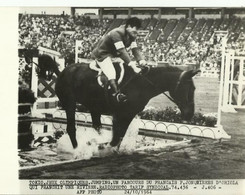 Tokio  Jeux Olimpiques Jumping Le Francais  P  Jonquieres D Oriola Franchit Une Riviere   24  10 1964..(20  X 15 Cm ) - Reiten