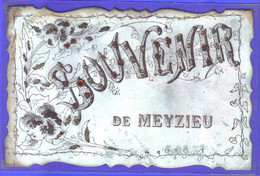 Carte Postale 69. Meyzieu  Avec Petites Pierres Et Paillettes Très Beau Plan - Meyzieu