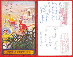 H3-Postcard-Advertising Print Seal-Corn Culture-Steckley Hybrid Corn Lincoln Nebraska 1959. U.S.A. United States,America - Cultures