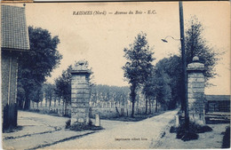 CPA RAISMES - Avenue Du Bois (142071) - Raismes