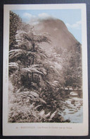 Martinique Lot 2 Cpa Piton Carbet Et Cascade Absalon - Sonstige & Ohne Zuordnung