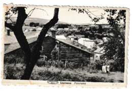 LIERNEUX PANORRAMA ENFANTS - Vielsalm