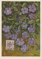 Belgique Carte Maximum Fleurs 1949 Antituberculeux Pervenche 816 - 1934-1951