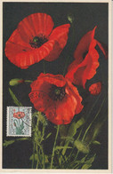 Belgique Carte Maximum Fleurs 1949 Antituberculeux Coquelicot 817 - 1934-1951