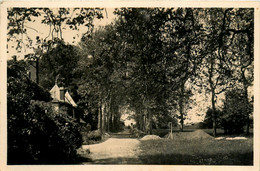 Mauves Sur Loire * Le Sanatorium De La Droitière * Village Hameau * Allée D'entrée - Mauves-sur-Loire