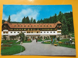 Borsec Baths Resort Kurort Spa Curort Hotel Pension Villa Unused - Roumanie