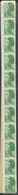 FRANCE - ROULETTE N° 81, BANDE DE 11 TP, NEUFS & LUXE - Coil Stamps