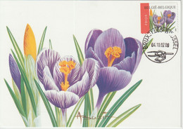 Belgique Carte Maximum Fleurs Buzin 2002 Crocus 3135 - 2001-2010