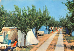 06-LA-PINEDE- MANDELIEU- CAMPING LES PRUNIERS - Sonstige & Ohne Zuordnung