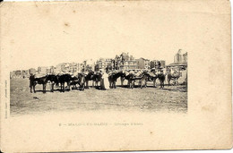 MALO Les BAINS - Groupe D' ânes - Carte Précurseur 1900 - Malo Les Bains