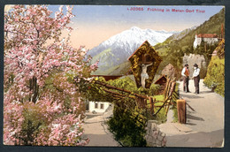 AK Meran - Dorf, 15.9.1913, Frühling, Tirol, Südtirol,  Photoglob - Merano