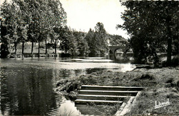 Boussay * La Sèvre Au Pont De Ste Radegonde - Boussay