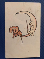 Old Postcard. Dachshund - Dachshound - Teckel - Dackel - Bassotto   - Moon - Perros