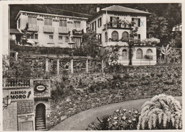 Ascona  - Hotel Albergo MORO  - Scan Recto-verso - Ascona