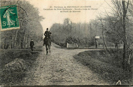 Fontenay Le Comte * Carrefour Du Petit Maillezais * Rendez-vous De Chasse En Forêt De Mervent - Fontenay Le Comte