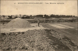 44 - QUIMIAC - Marais Salants - Sel - Kercabellec - Mesquer Quimiac