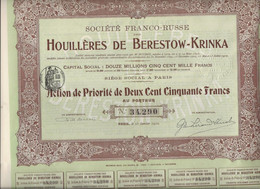 SOCIETE FRANCO-RUSSE HOUILLERES DE BERESTOW - KRINKA- ACTION DE PRIORITE 250 FRS - ANNEE 1910 - Miniere