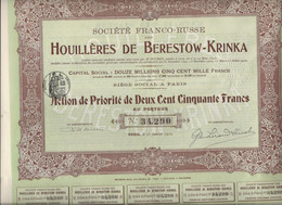 SOCIETE FRANCO-RUSSE HOUILLERES DE BERESTOW - KRINKA- ACTION DE PRIORITE 250 FRS - ANNEE 1910 - Mijnen