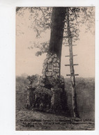 43 - RABOSéE - BARCHON  - Le Lieutenant Edmond SIMON Fut Tué Sur Ce Chêne, à Son Poste D'observation Le 06.08.1914 - Blégny