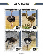 2020-11- CHAD - OSTRICHES      4V  MNH** - Avestruces