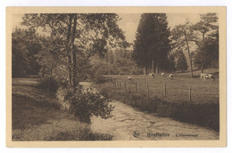Delcampe - Belgien Houffalize L'Hermitage - Houffalize