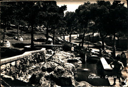 33802) CARTOLINA DI CAGLIARI-GIARDINI-VIAGGIATA - Cagliari