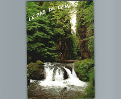 15 - Cantal -  Le Pas De Cère - Cpm - Entre Thiézac Et Vic Sur Cère - Ohne Zuordnung
