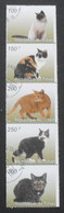 116. CHAD 1998 STRIP/5 USED STAMPS PET ANIMALS, CATS. - Tchad (1960-...)