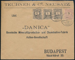 1900.jan.20. 10f Tarifájú Levél 3 X 1kr + 2kr Bérmentesítéssel (1kr = 2f) "ÚJVIDÉK" - "BUDAPEST" - Andere & Zonder Classificatie