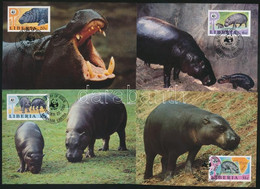 ** 1984 WWF: Vízilovak Sor Mi 1315-1318 + 4 Db CM + 4 FDC - Andere & Zonder Classificatie