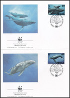 1996 WWF: Hosszúszárnyú Bálna Sor Mi 1400-1403 4 Db FDC-n - Sonstige & Ohne Zuordnung