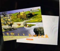 Botswana Postal Card Postcard Wetlands River Wildlife Africa Animals Nature Bird Fauna Birds Elephant Mammals - Botswana