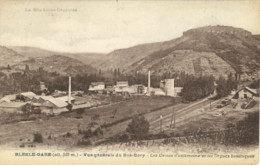 43 / Blesle-Gare - Vue Générale Du Bas Bory - Les Usines D' Antimoine Et Les Orgues Basaltiques - Blesle