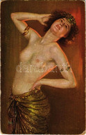 ** T3 Die Favoritin / Erotic Nude Lady Art Postcard. Deutsche Meister Nr. 6034. S: G. Rienäcker (worn Corners) - Non Classificati