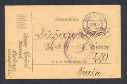 BOSNIA AND HERZEGOVINA - Military Stationery Sent From Trebinje 29.VIII. 1917. Nice Cancel 'K.und K. Milit.Post Trebinje - Bosnia And Herzegovina