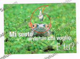 Animali Uccello Bird  Ipopotamo - Pubblicitaria Vodafone Hippo - Hippopotamus - Hippopotamuses