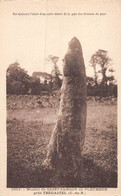 21-3987 :  MENHIR DE SAINT-SAMSON-EN-PLEUMEUR PRES TREGASTEL - Dolmen & Menhirs
