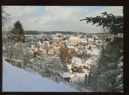 CPM Neuve Allemagne ALTENSTEIG Vue Générale - Altensteig