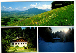 5855 - Vorarlberg - Bödele , Bergwiese Am Bödele Mit Blick In Den Bregenzerwald , Vereinsheim Schwarzach - Gelaufen 1992 - Dornbirn