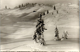 5858 - Vorarlberg - Lech Am Arlberg , Abfahrten Bei Oberlech - Gelaufen 1966 - Lech