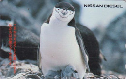 TC JAPON / 110-011 - ANIMAL - OISEAU - MANCHOT A JUGULAIRE - CHINSTRAP PENGUIN BIRD - JAPAN Phonecard-  5418 - Pinguini