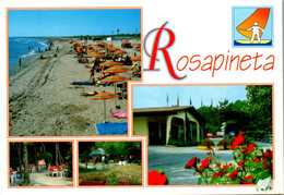 6361 - Italien - Rosolina Mare , Rosapineta , Rovigo , Strand , Mehrbildkarte - Gelaufen 1999 - Rovigo