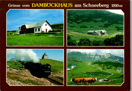 6383 - Niederösterreich - Puchberg , Damböckhaus Am Schneeberg , Hochschneeberg , Zahrradbahn - Gelaufen 1999 - Schneeberggebiet