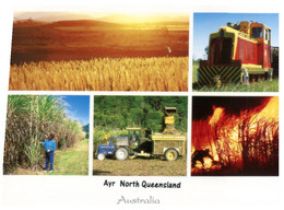 (II [ii] 11 A) (ep) Australia - QLD - Ayr - Sugar Cane Industry - Far North Queensland