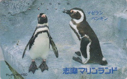 TC JAPON / 290-15011 - ANIMAL - OISEAU - MANCHOT DE MAGELLAN -  PENGUIN BIRD - JAPAN Free Phonecard -  5424 - Pinguins