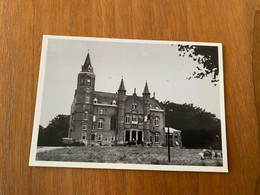 WINGENE - Kasteel Van Wildenburg - Wingene