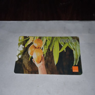 Dominicana-(orange-28rd$100)-(1836-4488-1386-82)-three Mango-(26)-(31.12.2009)-used Card+1card Prepiad Free - Dominicaine